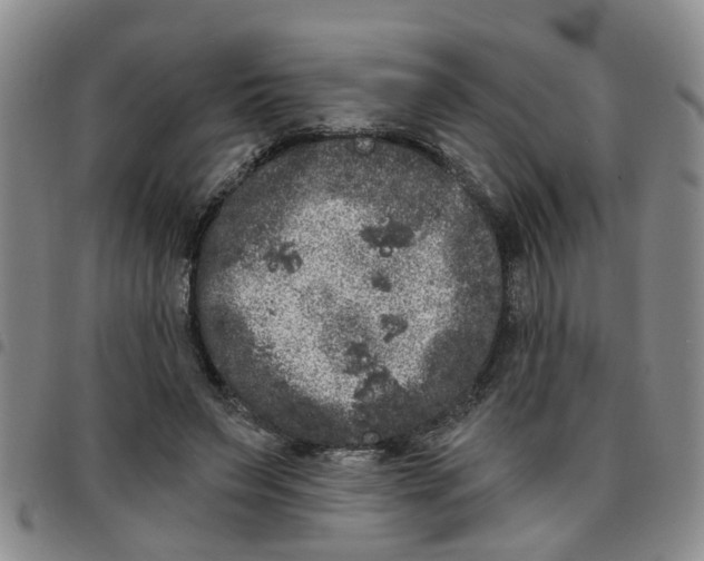 X0000097470495200803141916