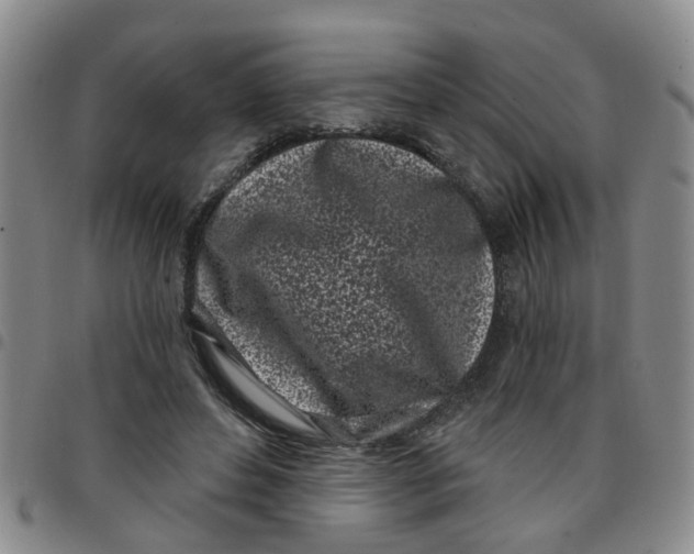 X0000097470496200803141916
