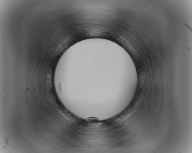 X0000097470497200803141916