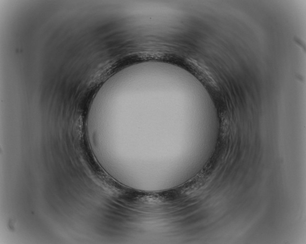 X0000097470498200803141916