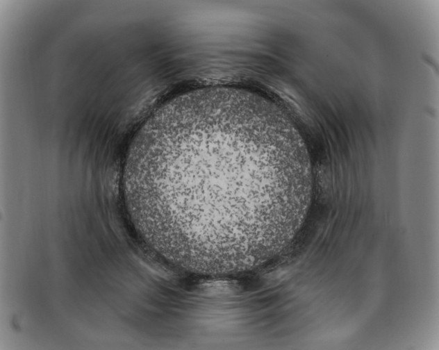 X0000097470499200803141916