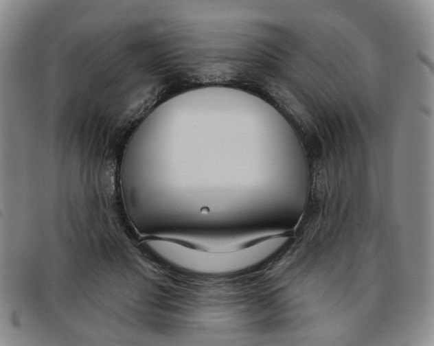 X0000097470501200803141916