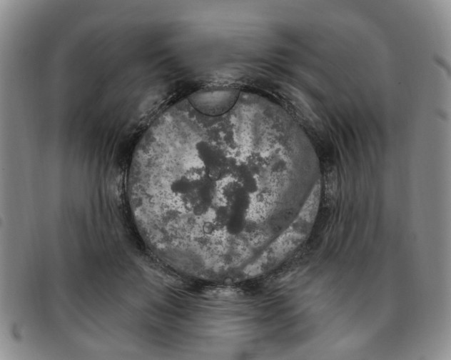 X0000097470503200803141916