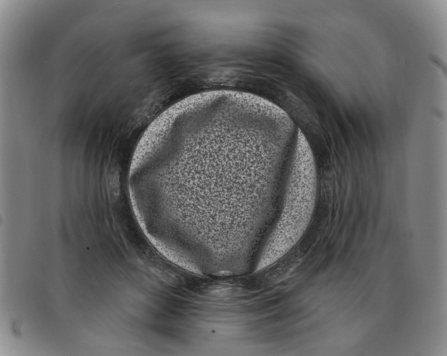 X0000097470504200803141916