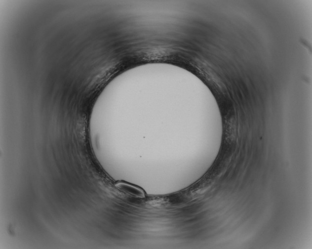 X0000097470505200803141916