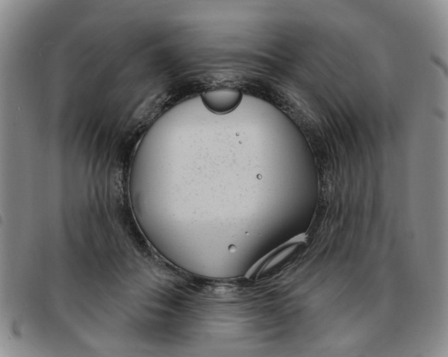 X0000097470506200803141916