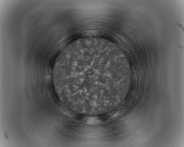 X0000097470507200803141916