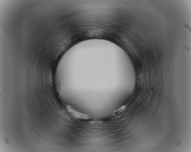 X0000097470508200803141916