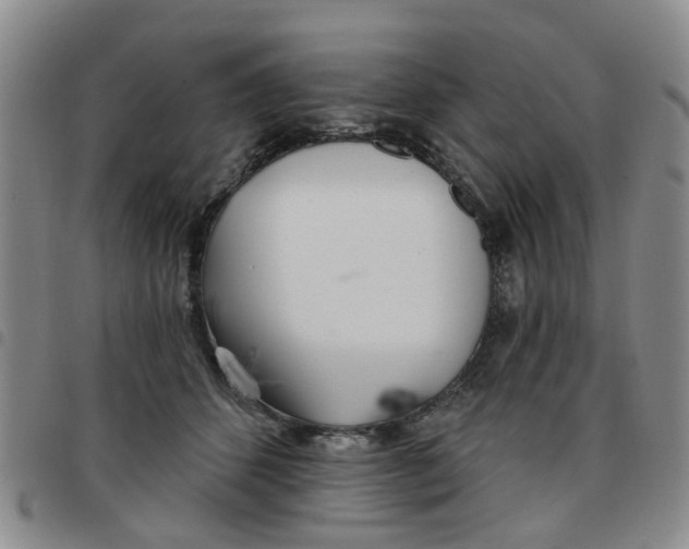 X0000097470512200803141916