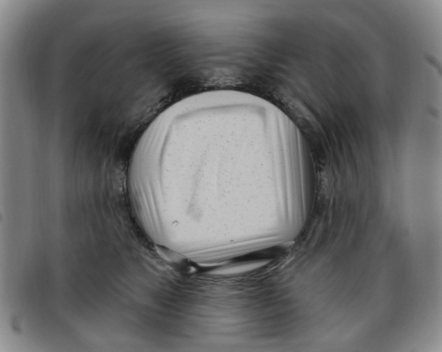 X0000097470517200803141916