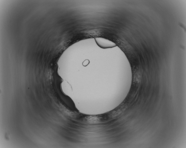 X0000097470518200803141916