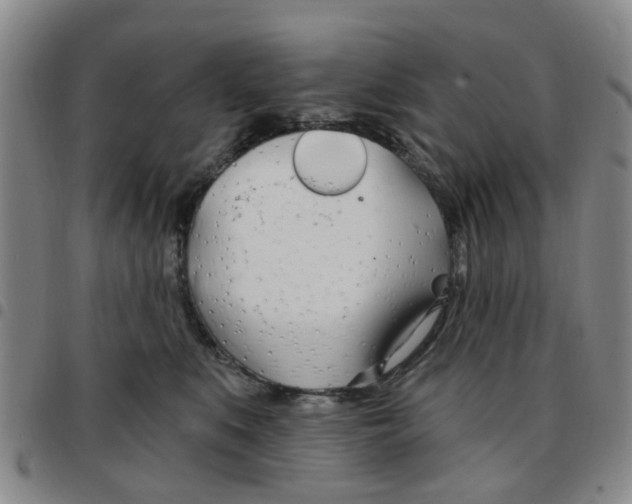 X0000097470519200803141916