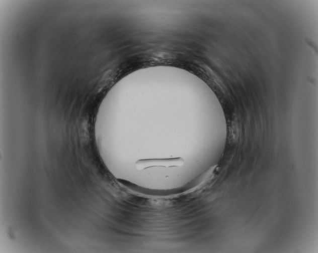 X0000097470520200803141916