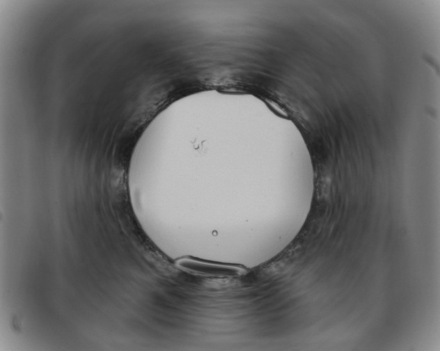 X0000097470521200803141916