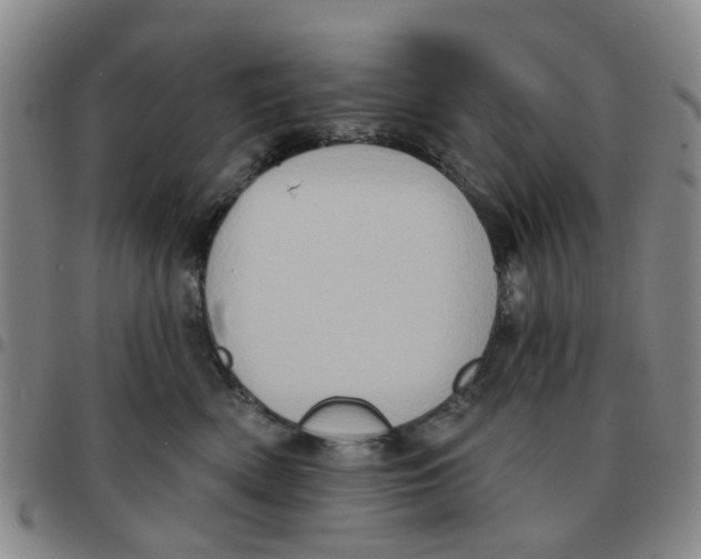 X0000097470522200803141916