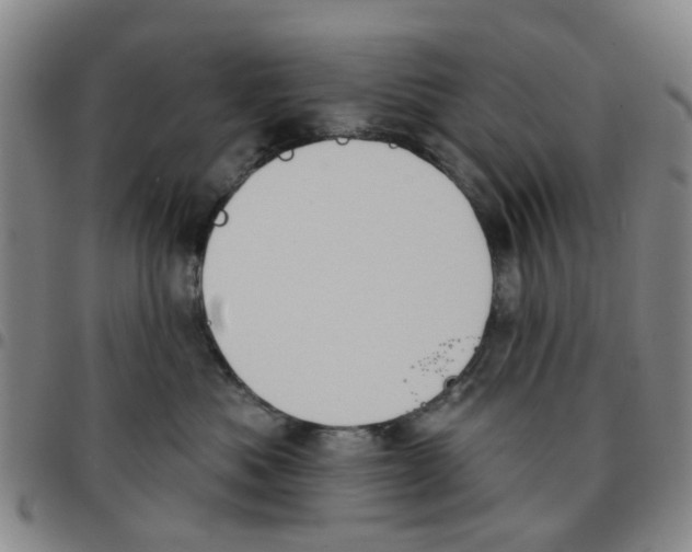 X0000097470525200803141916