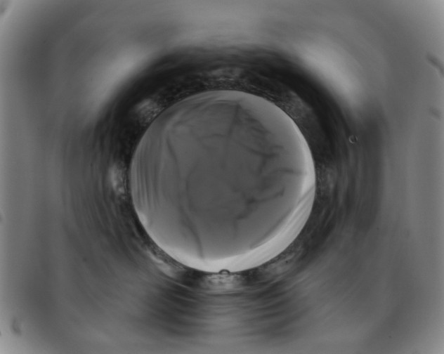 X0000097470526200803141916