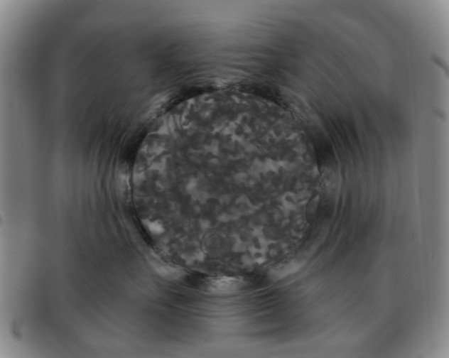X0000097470527200803141916