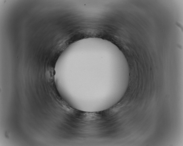 X0000097470528200803141916