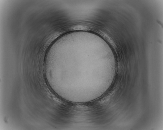 X0000097470529200803141915