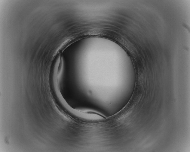 X0000097470530200803141915