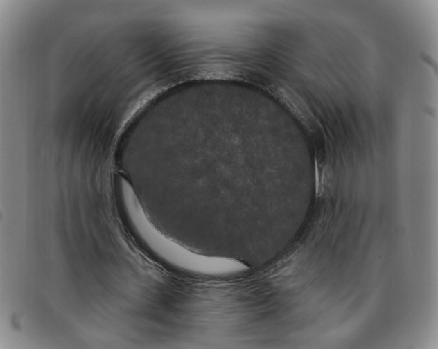 X0000097470531200803141915