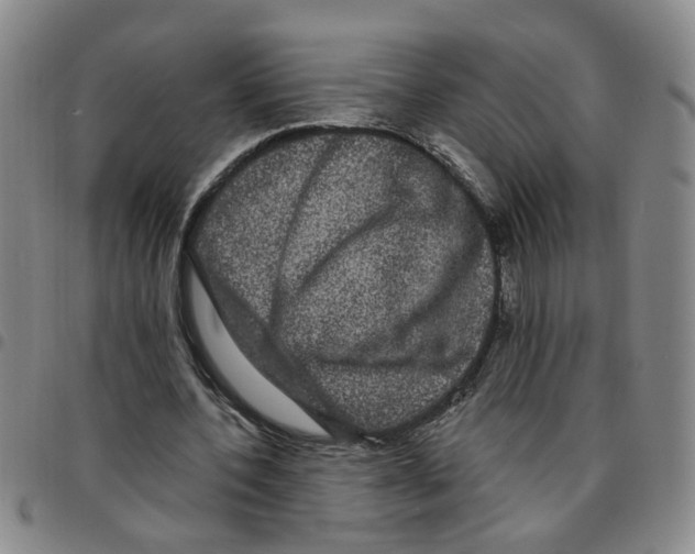 X0000097470532200803141915