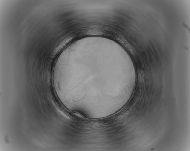 X0000097470533200803141915