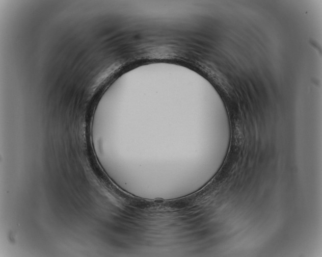 X0000097470535200803141915