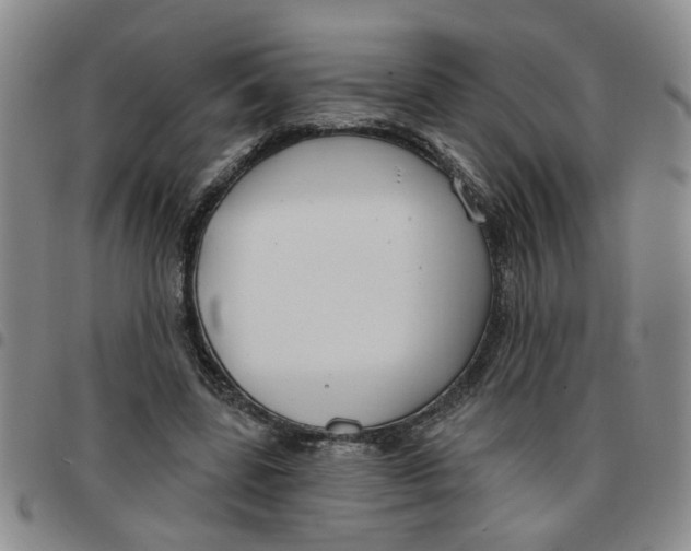 X0000097470539200803141915