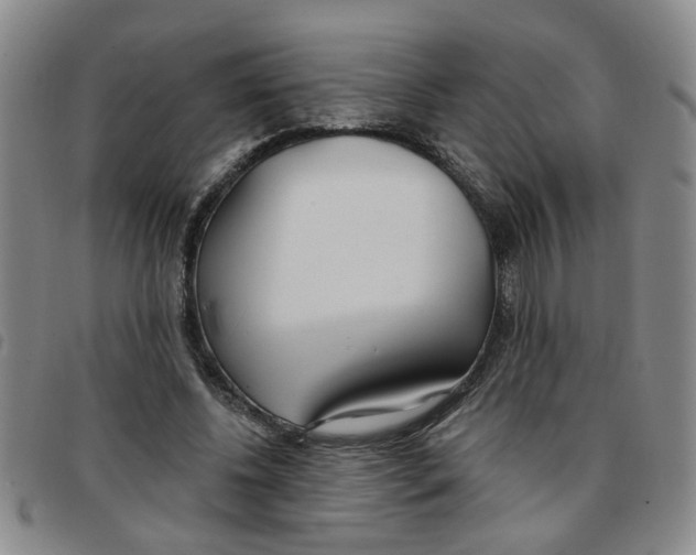 X0000097470540200803141915