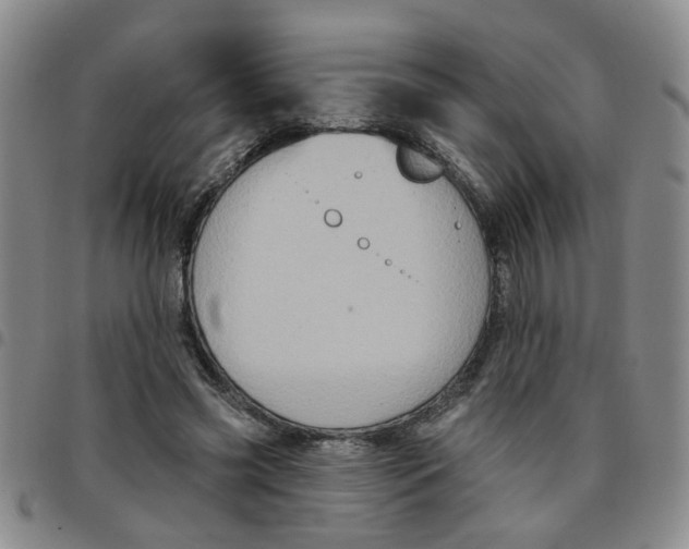 X0000097470541200803141915
