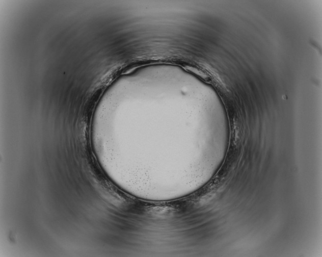 X0000097470542200803141915
