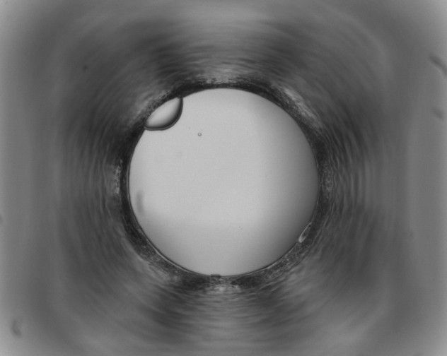 X0000097470543200803141915