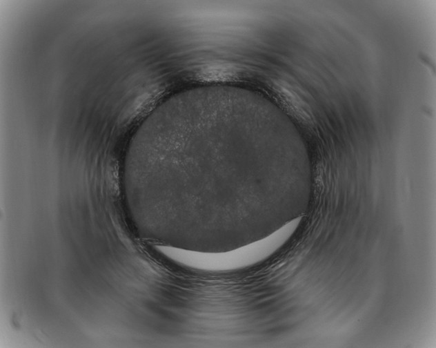 X0000097470547200803141915