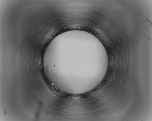 X0000097470548200803141915