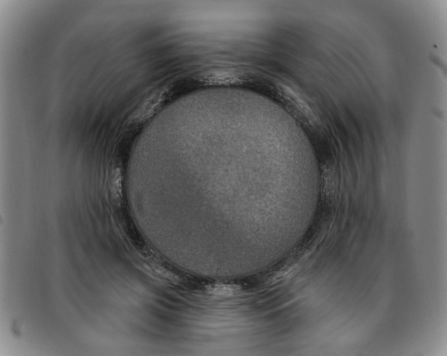 X0000097470549200803141915