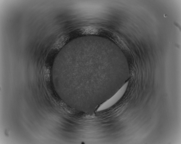 X0000097470551200803141915