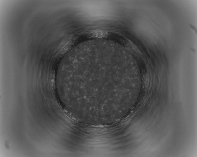 X0000097470553200803141915