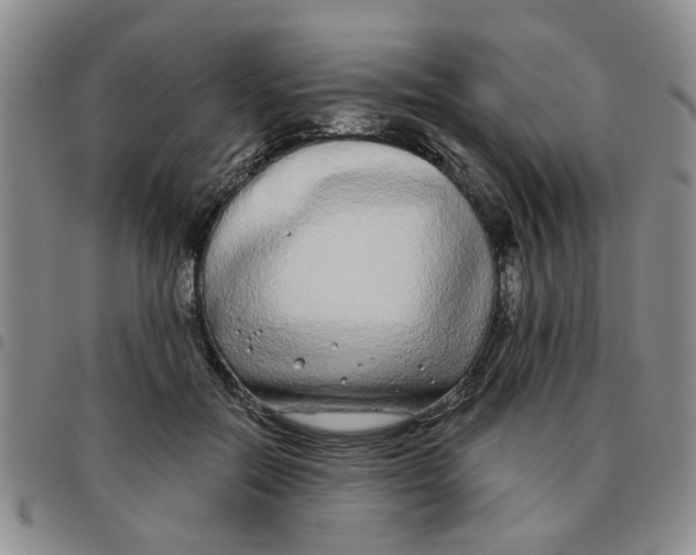 X0000097470554200803141915