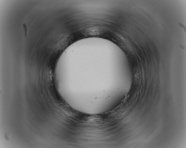 X0000097470555200803141915