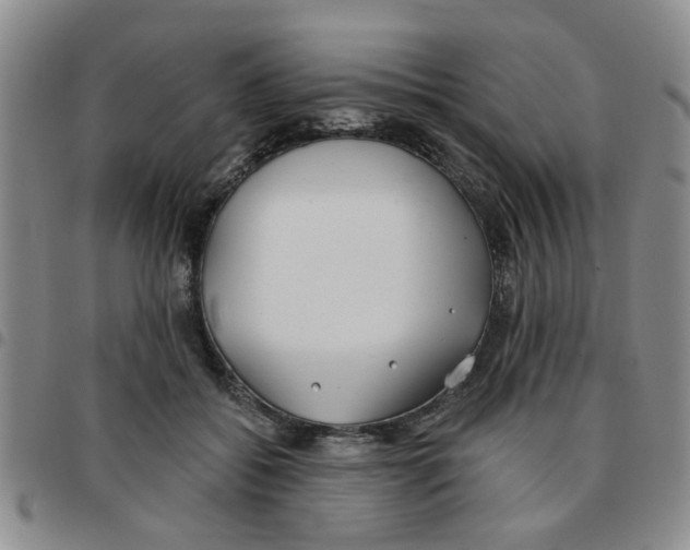 X0000097470556200803141915