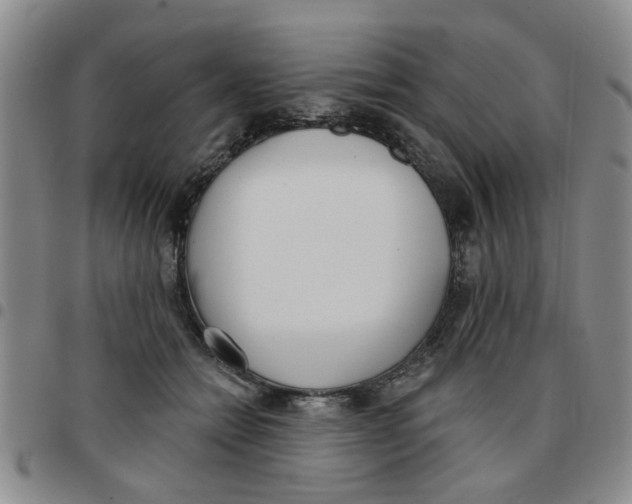 X0000097470558200803141915