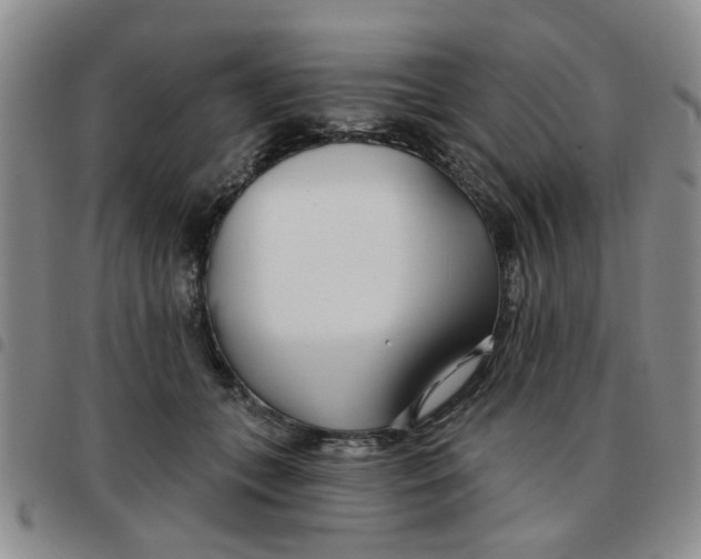 X0000097470559200803141915
