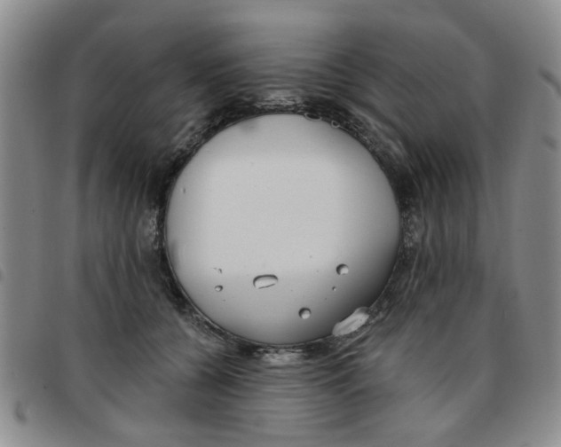 X0000097470560200803141915