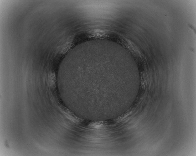 X0000097470563200803141915