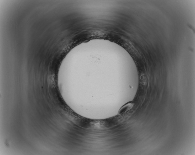 X0000097470564200803141915