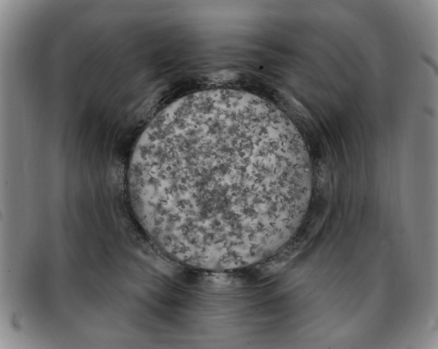 X0000097470565200803141915