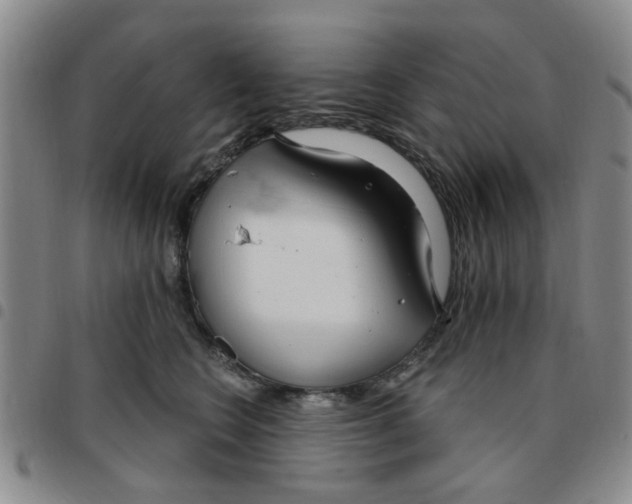 X0000097470566200803141915