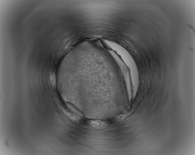 X0000097470568200803141915